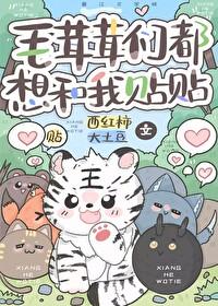 毛茸茸小使