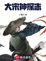 大宋奇案