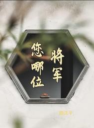 将军指谁