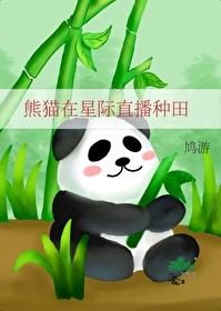 熊猫穿进星际文后