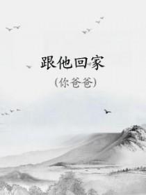 跟他回家by你爸爸讲的是什么