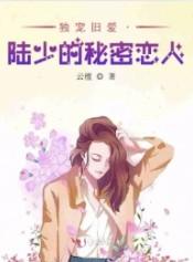 独宠旧爱陆少的秘密恋人免费