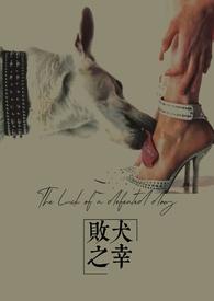 败犬番什么意思