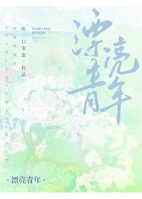 漂亮男孩全文免费阅读
