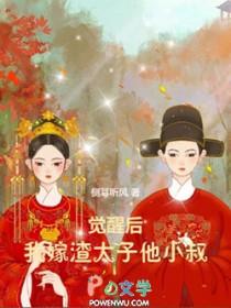 我嫁渣太子他小叔gl