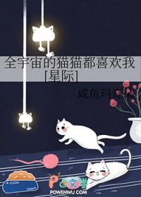 全宇宙的omega都想和我开车怎么破全文免费