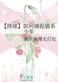 排球少年用球