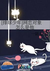排球少年恋爱关系