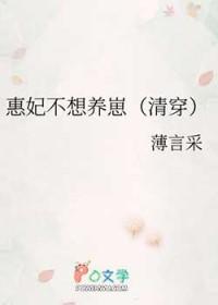清穿之慧妃