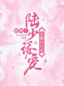陆少的甜