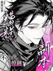 糟糕不小心撩翻副本boss了txt