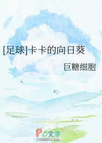 cp卡卡的足球文