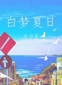 乐队的夏天白日梦蓝