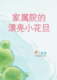 家属院 电视剧