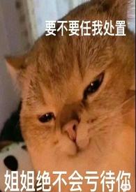 论女a与哨向的兼容性第二部