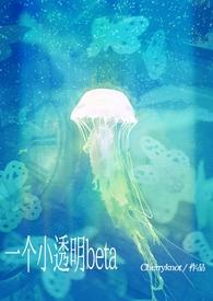 小透明beta被痴汉包围第二部内容介绍