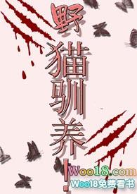 野猫驯养作者魏承