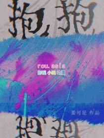 抱抱数字2025年全年盈利