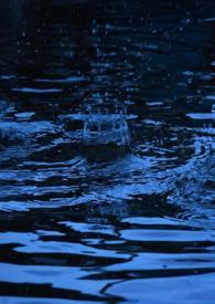 春风雨(纯百)txt