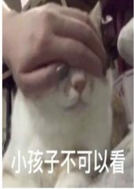 圈养蔷薇(纯百np)