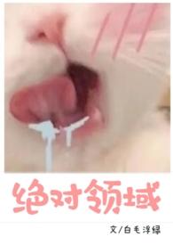绝对领域(1V1,校园H)